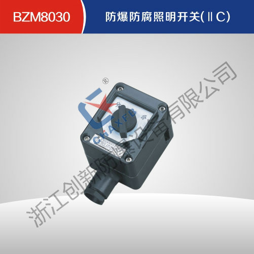 BZM8030防爆防腐照明开关(IIC)